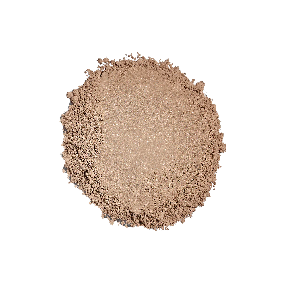Sunforgettable Total Protection Brush-on Shield